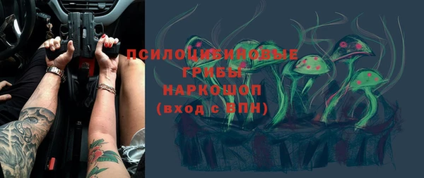 не бодяженный Белокуриха
