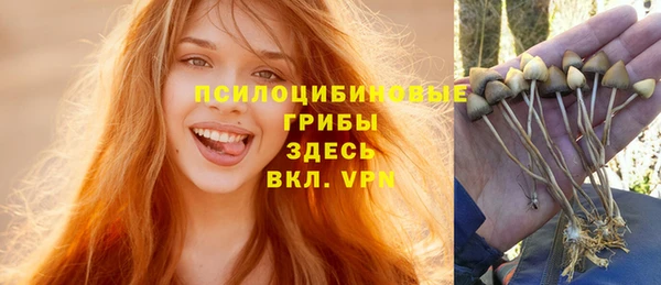 не бодяженный Белокуриха